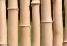 Enfield Southbamboo-fencing-1.jpg; ?>